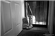 Photo 001