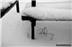 Photo 006